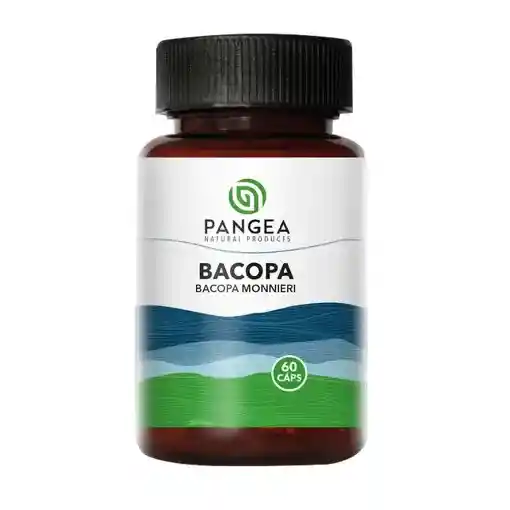 Bacopa - Pangea