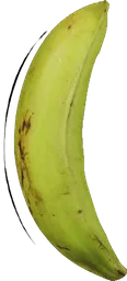 Plátano Verde