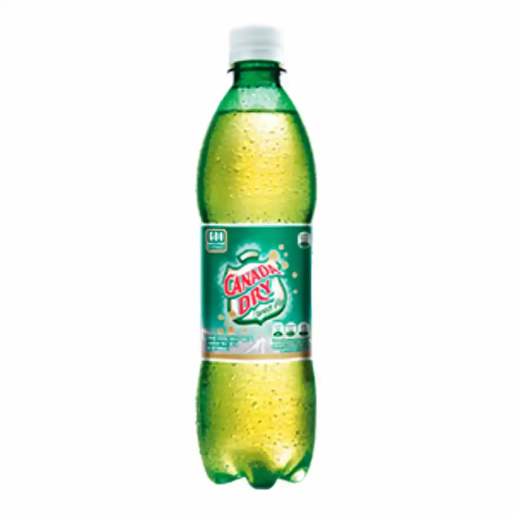 Canada Dry Ginger Pet 600 mL