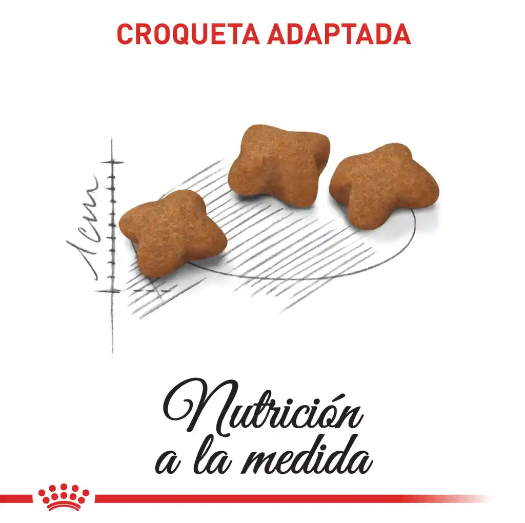 Royal Canin Alimento para Gatitos Esterilizado