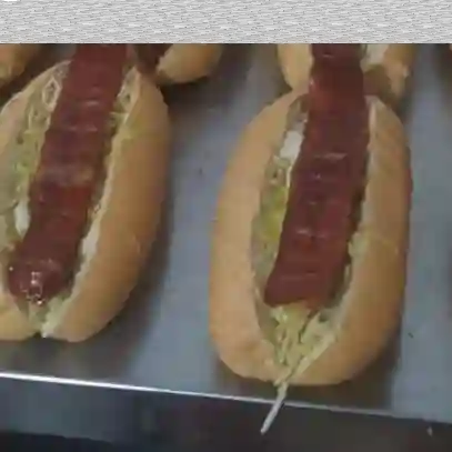 4 Perros medio suizo