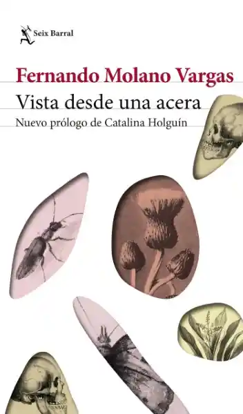 Vista Desde Una Acera - Seix Barral