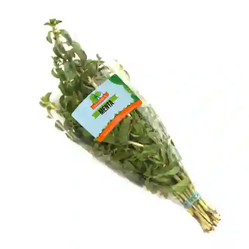 Menta Fresh Aromatic