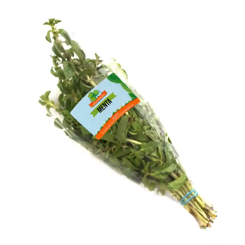 Menta Fresh Aromatic