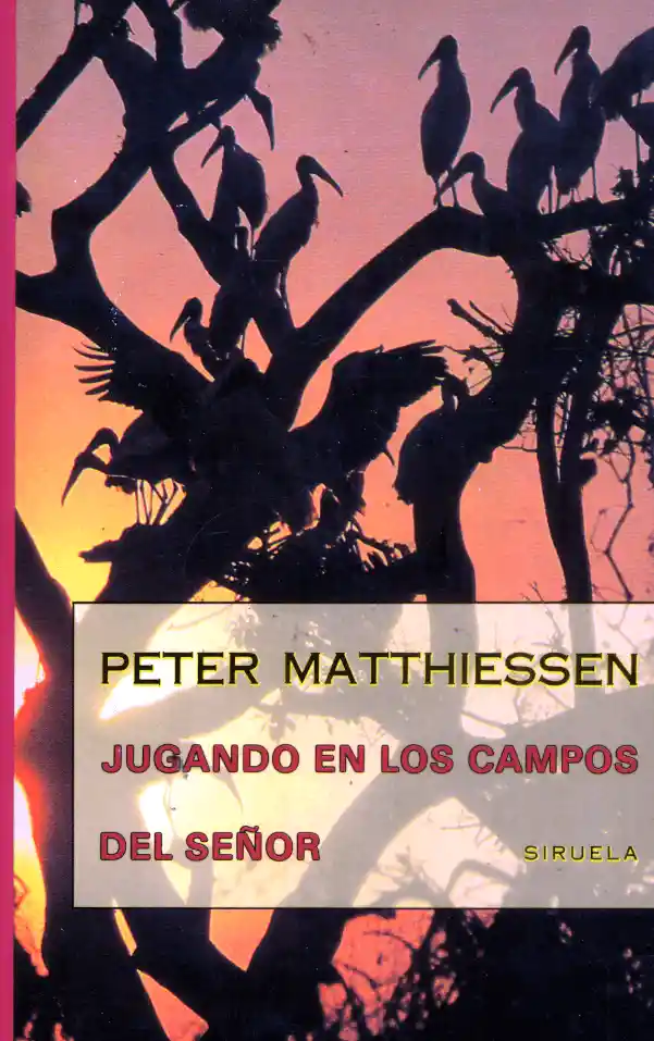 Jugando en Los Campos Del Señor