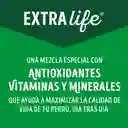 Comida húmeda para perro Dog Chow Adultos Minis y pequeños carne x 100 gr