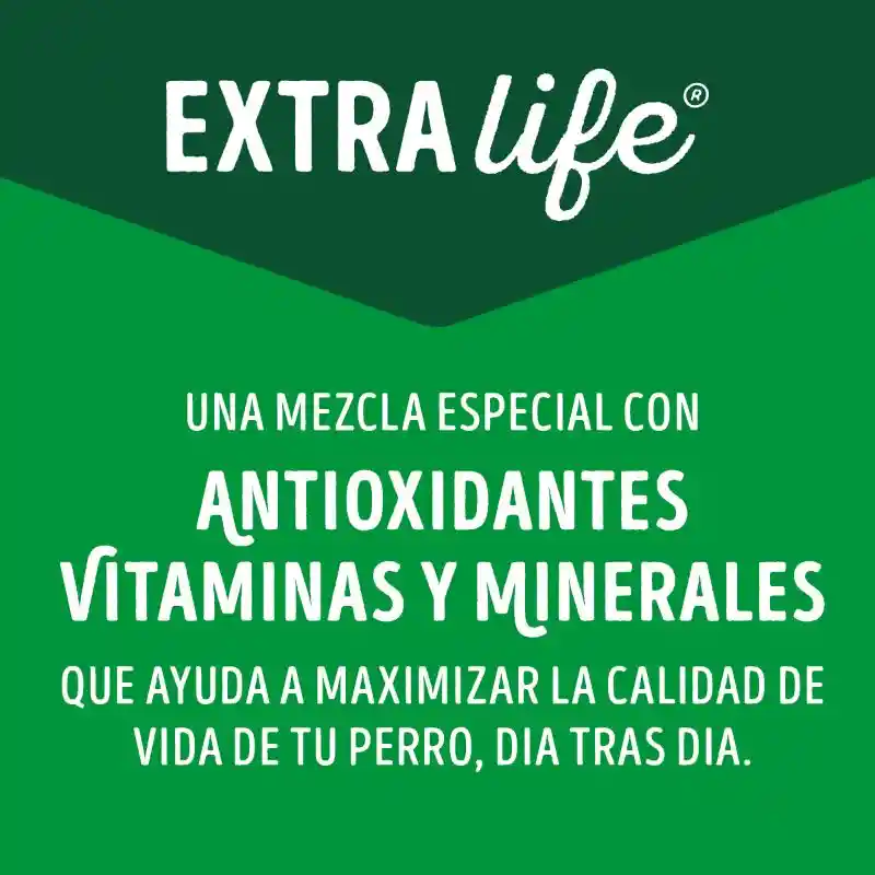 Comida húmeda para perro Dog Chow Adultos Minis y pequeños carne x 100 gr