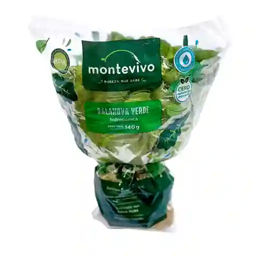 Montevivo Lechuga Salanova Verde