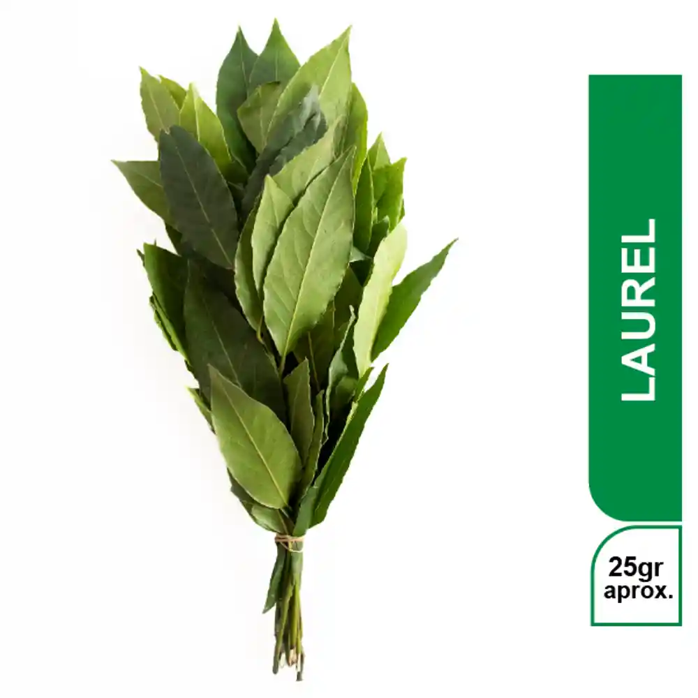 Laurel