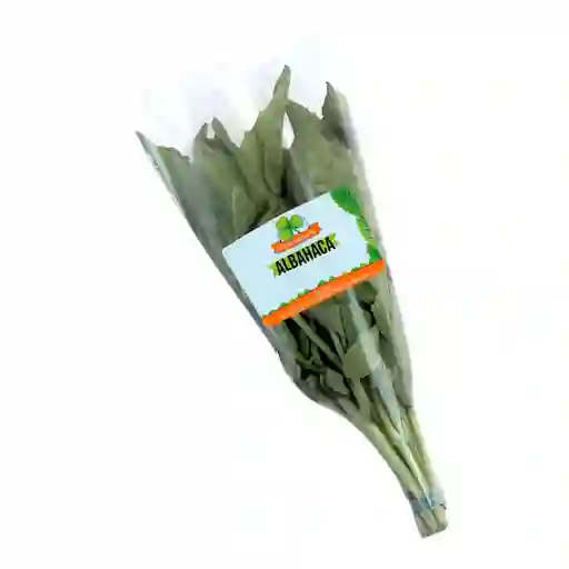 Albahaca Fresh Aromatic