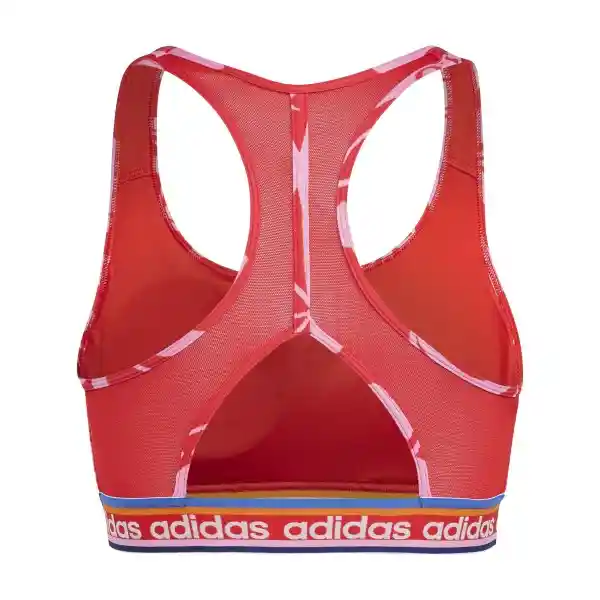 Adidas Crop Farm Bra Mujer Rojo Talla XSAC IM2371