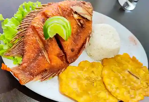 Mojarra