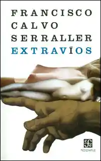 Extravíos - Francisco Calvo Serraller - Francisco Calvo