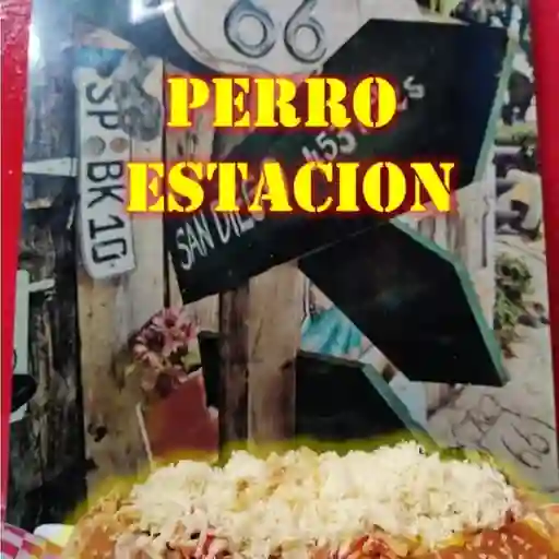 Perro estacion