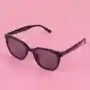 Gafas de Sol G041 Serie Miniso