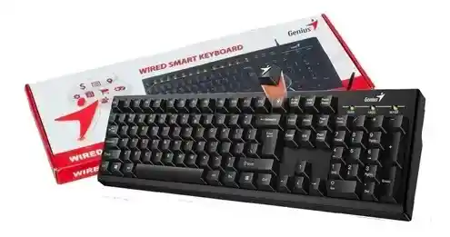 Genius Teclado KB-100