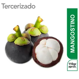 Mangostino Turbo