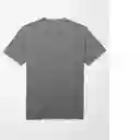 Camiseta Hombre Gris Talla: LARGE American Eagle