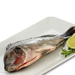 Mojarra Plateada
