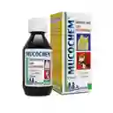 Mucochem Solución Oral Uso Veterinario (0.2 g/2g/120 mL)