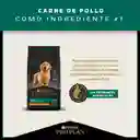 Comida para Perros cachorros razas medianas Purina Pro Plan x 13 kg