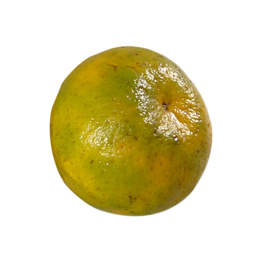 Mandarina Oneco aprox. 200 g