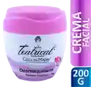 Teatrical Crema Facial Desmaquillante