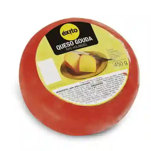 Queso Gouda Tipo Holandés Exito
