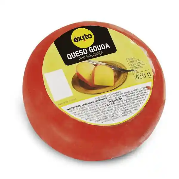 Queso Gouda Tipo Holandés Exito