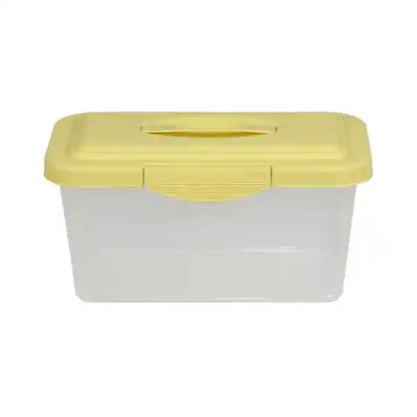 Krea Caja Organizadora Transparente Tapa Color Oliva 6 L