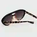 Tiwi Gafas Kabukki Tortoise