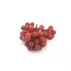 Uva Roja Globe Nacional