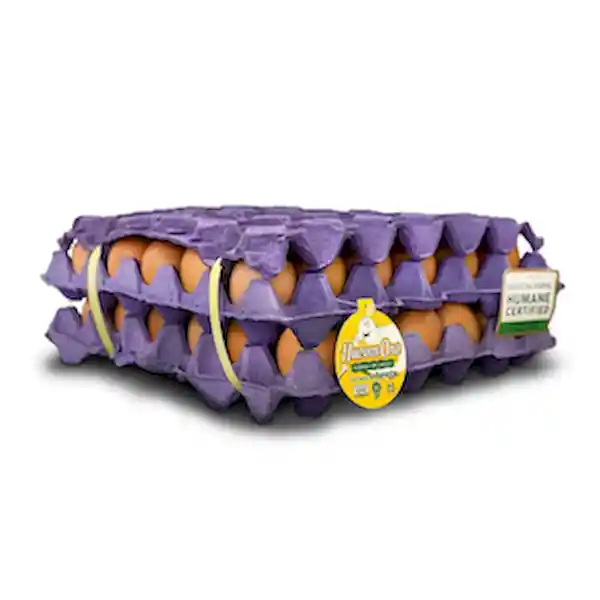 Huevos Oro Huevos Rojos AA