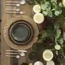 Set Plato Principal Jade 25 cm Ambiente Gourmet