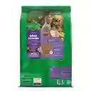 Comida para perro Dog Chow Cachorro minis y pequeños x 8 kg