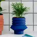Areaware Matera Strata Plantas Azul