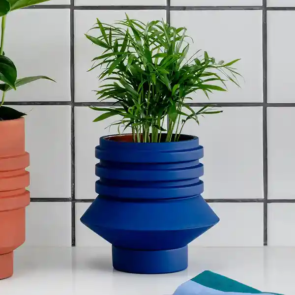 Areaware Matera Strata Plantas Azul