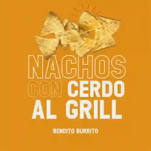 Nachos con Cerdo Al Grill