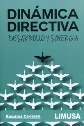 Dinámica Directiva. Desarrollo y Sinergia