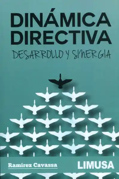 Dinámica Directiva. Desarrollo y Sinergia