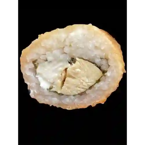 Pollo
