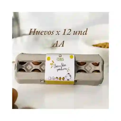 Huevos Aa - Origen Natural