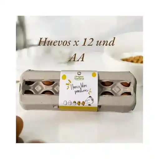 Huevos Aa - Origen Natural