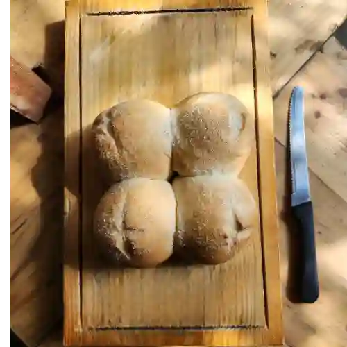 Piñita X4