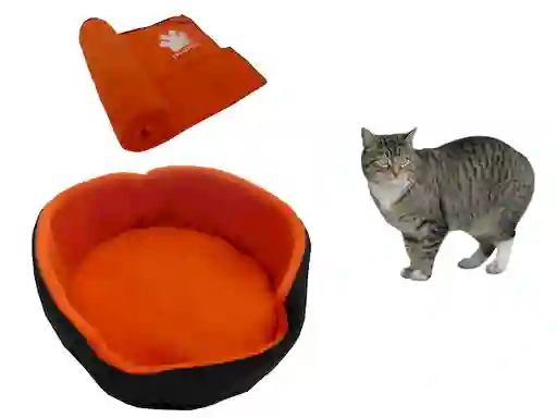 Cama Para Gato Pequeña + Cobija Térmica Mediana Naranja