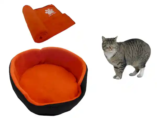 Cama Para Gato Pequeña + Cobija Térmica Mediana Naranja