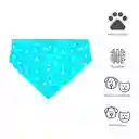 Miniso Collar Para Mascotas Forma Pañoleta Estrellas Verde