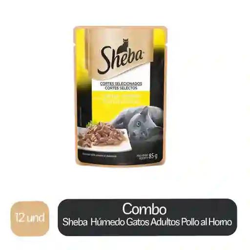 12 x Sheba Alimento Humedo Para Gatos Adultos Sabor Pollo al Horno