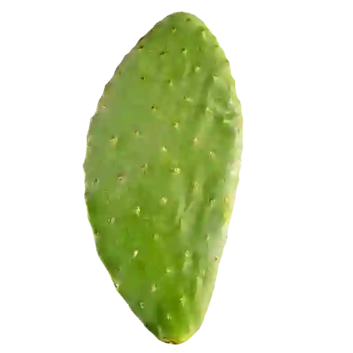 Nopal