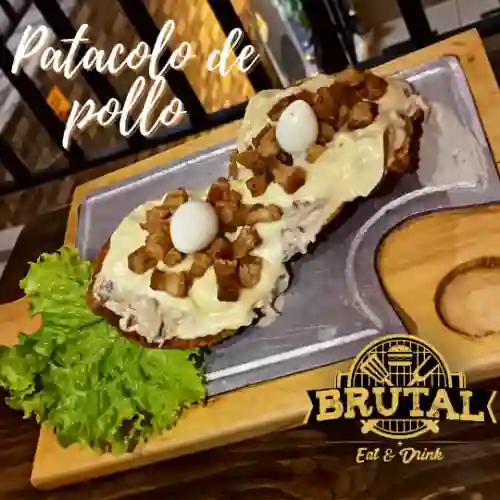 Pollo